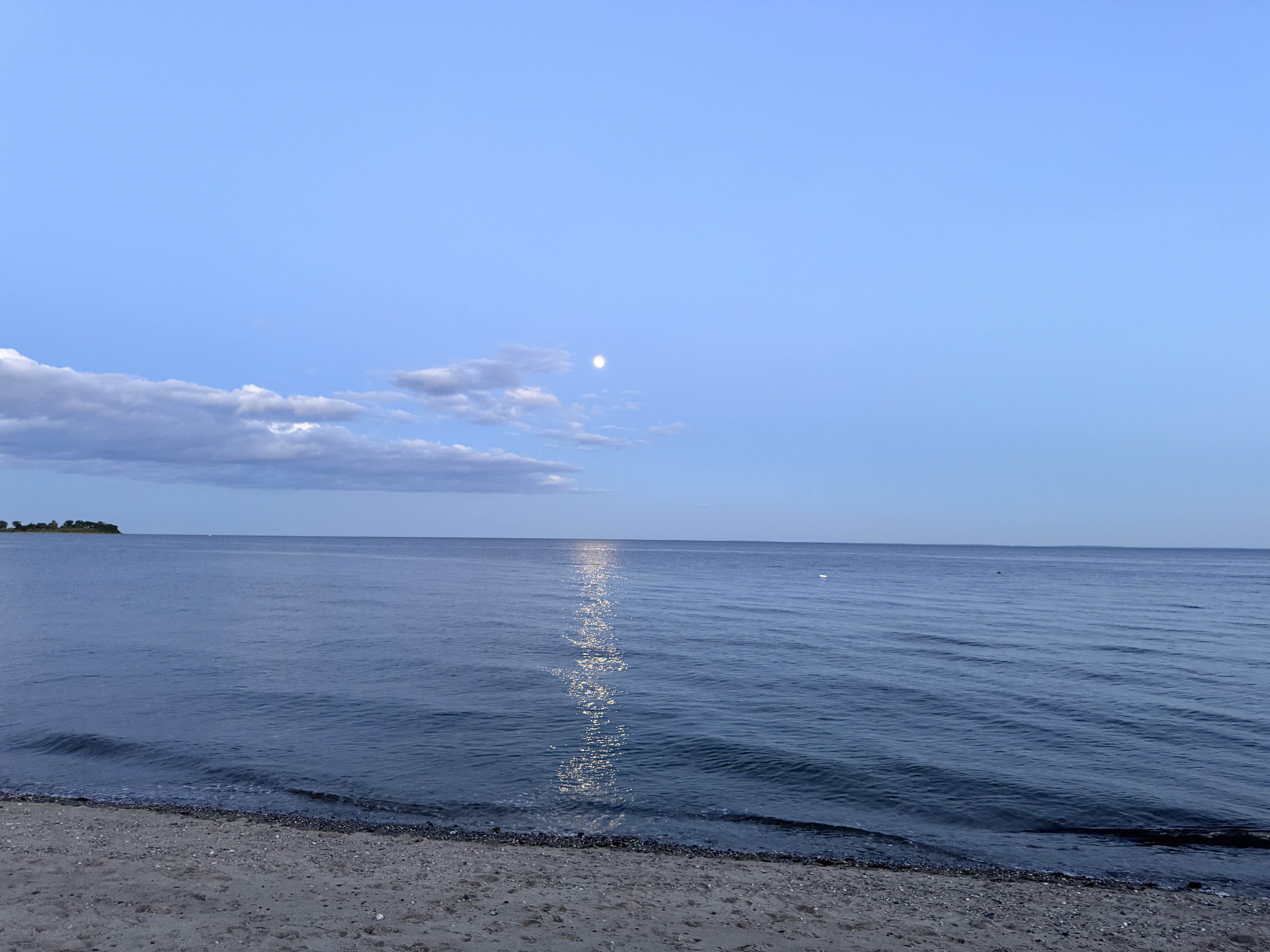 🌚🏝️