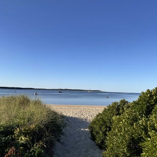 🏝️